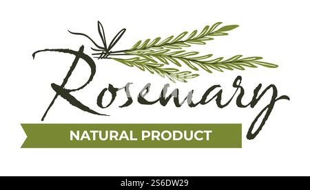 Erbe e spezie negozio o negozio assortimento, prodotto isolato rosmarino. Striscione con iscrizione calligrafica e ramo secco di ramo organico con foglie aromatiche. Etichetta o emblema, vettoriale in stile piatto. Rosmarino prodotto naturale, erbe e spezie vettoriali Illustrazione Vettoriale