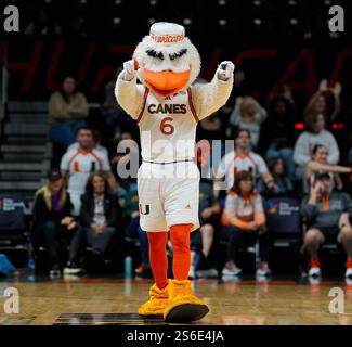 Miami, Florida, Stati Uniti. 16 gennaio 2025. Sebastian, mascotte dei Miami Hurricanes, vista durante una partita di basket femminile al college tra gli Hurricanes e i Boston College Eagles il 16 gennaio 2025 a Coral Gables, Florida. Boston College Won, 83-79. (Credit Image: © Scott Coleman/ZUMA Press Wire) SOLO PER USO EDITORIALE! Non per USO commerciale! Foto Stock