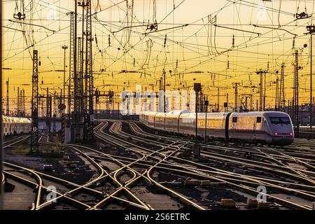 Grembiule con treni, rotaie, punti, piloni e sistemi di segnalazione. Infrastrutture alla stazione centrale. Tramonto. Francoforte sul meno, Assia, Germania, Foto Stock