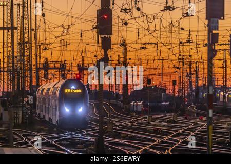 Grembiule con treni, rotaie, punti, piloni e sistemi di segnalazione. Infrastrutture alla stazione centrale. Tramonto. Francoforte sul meno, Assia, Germania, Foto Stock