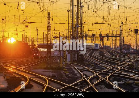 Grembiule con treni, rotaie, punti, piloni e sistemi di segnalazione. Infrastrutture alla stazione centrale. Tramonto. Francoforte sul meno, Assia, Germania, Foto Stock