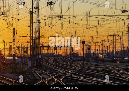 Grembiule con treni, rotaie, punti, piloni e sistemi di segnalazione. Infrastrutture alla stazione centrale. Tramonto. Francoforte sul meno, Assia, Germania, Foto Stock