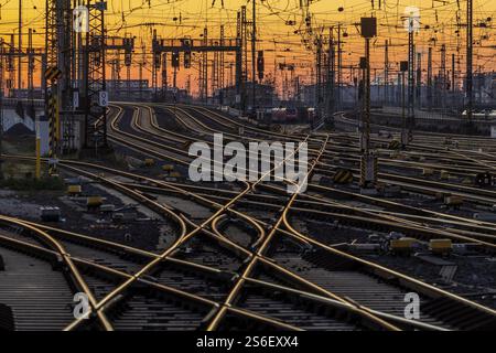 Grembiule con treni, rotaie, punti, piloni e sistemi di segnalazione. Infrastrutture alla stazione centrale. Tramonto. Francoforte sul meno, Assia, Germania, Foto Stock