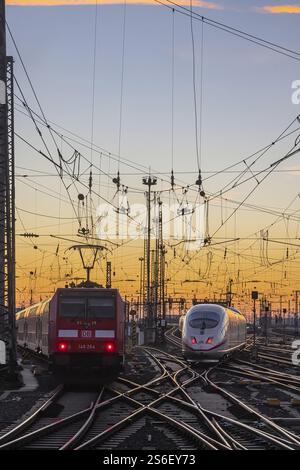 Grembiule con treni, rotaie, punti, piloni e sistemi di segnalazione. Infrastrutture alla stazione centrale. Tramonto. Francoforte sul meno, Assia, Germania, Foto Stock