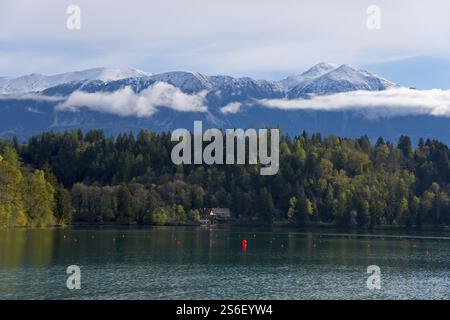 Lago con coste boscose in primo piano, montagne innevate sullo sfondo, lago di Bled, lago di Veldes, Blejsko jezero, Bled, Veldes, Feldes, UPP Foto Stock