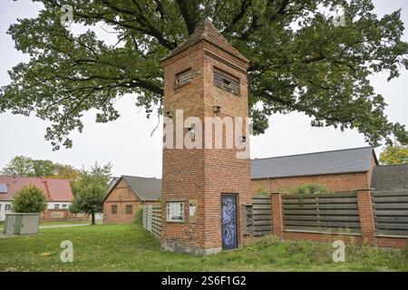 Vecchia casa di trasformazione, rifugio per uccelli, topi e insetti da campo, Liesten, Altmarkkreis Salzwedel, Sassonia-Anhalt, Germania, Europa Foto Stock