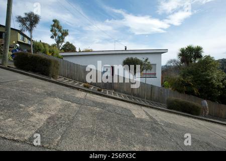 Baldwin Street, la strada più ripida del mondo a Dunedin nuova Zelanda, Baldwin Street a Dunedin nuova Zelanda, strada ripida e ripida, strada più ripida, World Foto Stock