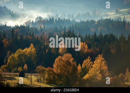 Fogliame autunnale con vivaci sfumature di oro, rosso e arancio coperte le colline boscose, con la nebbia che si innalza dolcemente in lontananza. Pagliaio nel prato illuminato dal sole, che aggiunge fascino rustico a un paesaggio sereno. Foto Stock