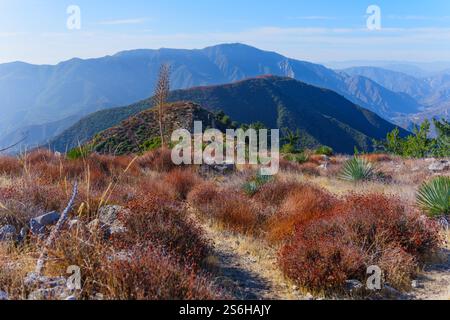 Ampia vista delle colline ondulate ricoperte da una vegetazione colorata, che mostra il terreno montuoso della California meridionale. Foto Stock