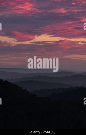 Tramonto sulle suggestive colline costeggiate da sequoie Foto Stock