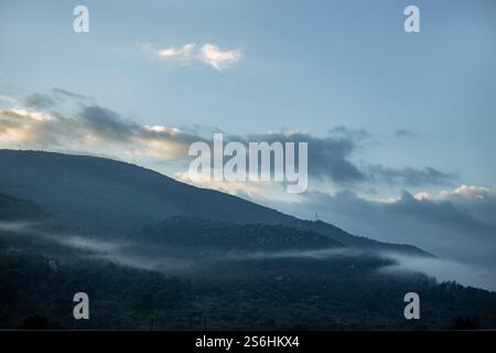 Colline con nebbia leggera al mattino presto Foto Stock