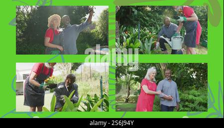 Immagine di quattro cornici con coppia senior felice in giardino su sfondo verde Foto Stock