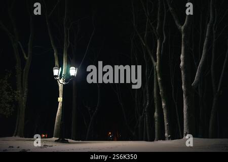 paesaggio notturno invernale. Foto di alta qualità Foto Stock