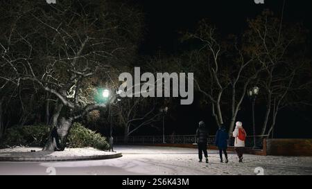 paesaggio notturno invernale. Foto di alta qualità Foto Stock