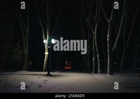 paesaggio notturno invernale. Foto di alta qualità Foto Stock