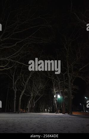 paesaggio notturno invernale. Foto di alta qualità Foto Stock