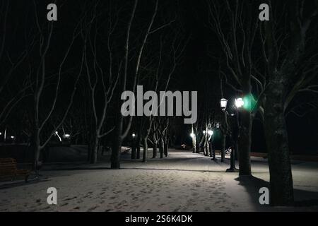 paesaggio notturno invernale. Foto di alta qualità Foto Stock