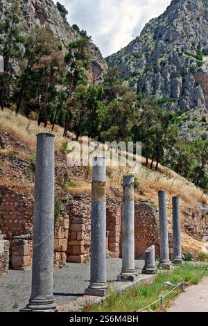 Antiche colonne dell'Agorà romana a Delfi, Grecia, incorniciate da aspre scogliere e lussureggianti pini, che mostrano la bellezza di questo santuario storico Foto Stock