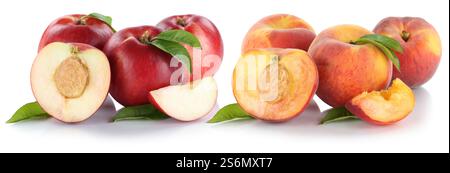 Pesche Nectarine pesche nettarine frutta tagliata a metà ritagliata e tagliata isolata davanti a uno sfondo bianco Foto Stock