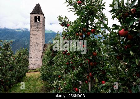 La chiesa medievale di San Prokulo Foto Stock