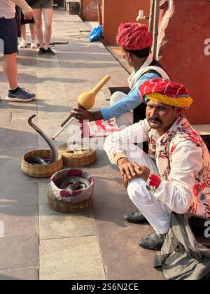 Incantatore di serpenti a Jaipur Foto Stock