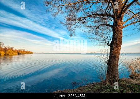 Mattina d'inverno sullo Steinhuder Meer vicino a Wunstorf Foto Stock