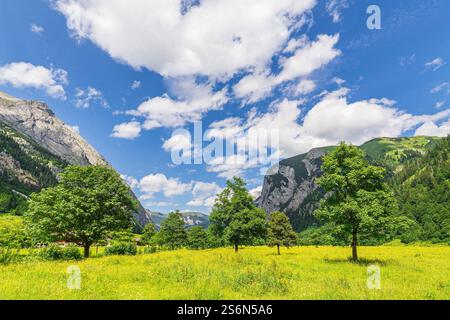 The Großer Ahornboden in the Rißtal valley near the Eng Alm in Austria. Foto Stock