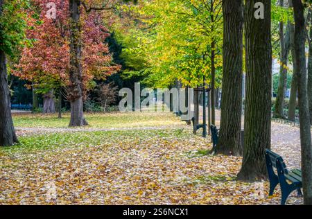 Atmosfera autunnale in un parco cittadino di Düsseldorf Foto Stock