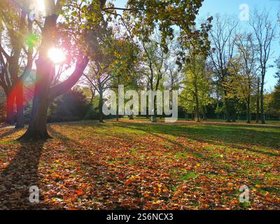 Parco a Düsseldorf con una scultura in autunno Foto Stock