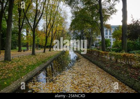 Fossato in un parco cittadino di Dusseldorf in autunno Foto Stock