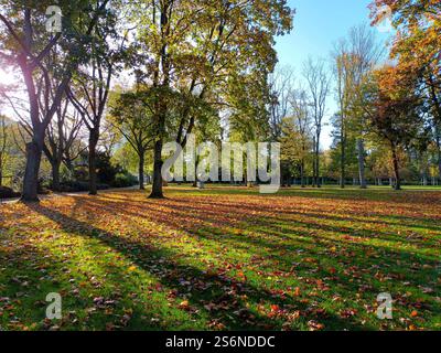 Parco cittadino nel centro di Düsseldorf sotto il sole autunnale Foto Stock