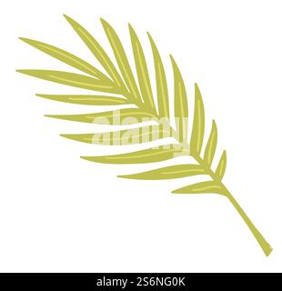 Botanica esotica e decorazione tropicale, icona isolata di fiori con foglie lussureggianti. Piante domestiche o monstera per l'arredamento degli interni. Botanica e vegetazione realistica alla moda. Vettore in stile piatto. Pianta tropicale di foglie di Monstera, vettore botanico esotico Illustrazione Vettoriale