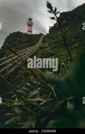 Vista del faro a strisce rosse e bianche a Cap Palliser, il punto più meridionale dell'Isola del Nord della nuova Zelanda. La piattaforma di osservazione può essere raggiunta tramite 253 su una lunga scala in legno. Foto Stock