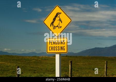 Un cartello stradale avvisa dei pinguini che potrebbero attraversare la strada. Il cartello "Penguins Crossing" si trova sul lato sinistro della strada. Montagne e cielo azzurro possono essere visti sullo sfondo. Foto Stock