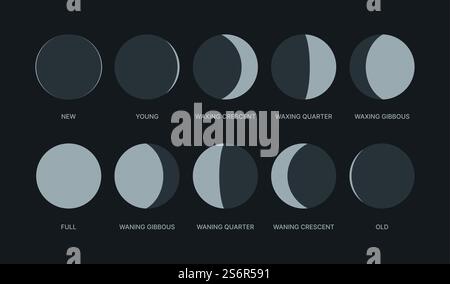 Fasi lunari. Simboli notturni per il calendario lunare forme circolari loghi confezione di ceretta sagome stilizzate vettoriali isolate. Illustrazione: Luna piena e ceretta a mezzaluna. Fasi lunari. Simboli notturni per il calendario lunare forme circolari loghi confezione di ceretta sagome stilizzate vettoriali isolate Illustrazione Vettoriale