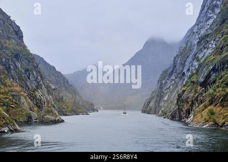 Naviga lungo la costa della Norvegia, l'arcipelago delle Lofoten, lo stretto canale nel Trollfjord, scogliere ripide, nebbia Foto Stock