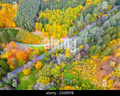 Una prospettiva aerea cattura il fogliame autunnale mozzafiato di Raad, mostrando un ricco arazzo di colori dagli alberi lungo strade tortuose circondate dalla natura. Foto Stock