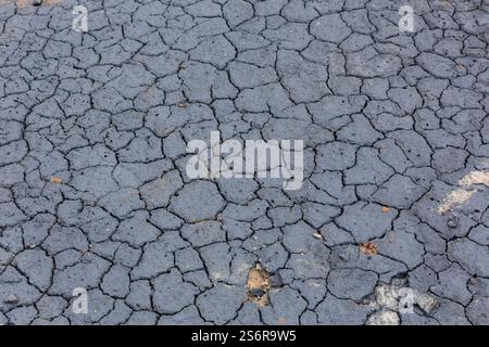 Terra argillosa secca grigia crepata vulcanica nella zona geotermica di Myvatn in Islanda. Foto Stock