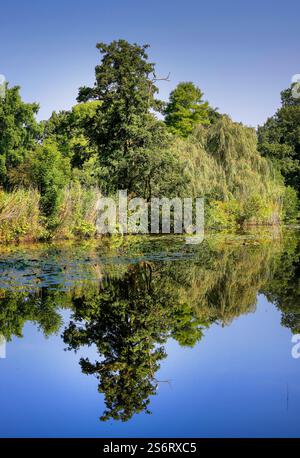 lago Aussenalster, Germania, Amburgo Foto Stock