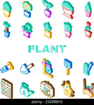 Icone degli accessori per la cura e l'impianto in vaso Set Vector. Sansevieria Trifasciata Citrus Tree, Monstera Deliciosa e Buxus Sempervirens pianta in vaso. Illustrazioni dei colori dei segni isometrici delle apparecchiature Florarium. Icone degli accessori per la cura e l'impianto in vaso Set Vector Illustrazione Vettoriale