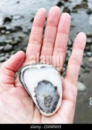 Primo piano di una mano che tiene una splendida roccia in una spiaggia sulla costa dell'Oregon. Foto Stock