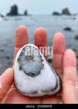 Primo piano di una mano che tiene una splendida roccia in una spiaggia sulla costa dell'Oregon. Foto Stock