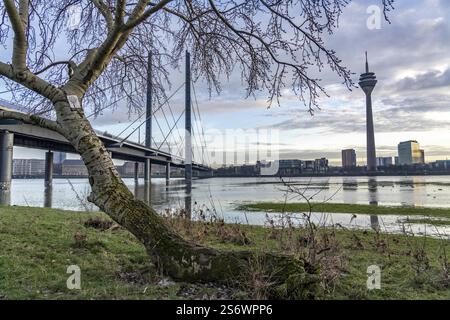 Vista del ponte di ginocchio sul Reno vicino a Duesseldorf, dai prati del Reno a Duesseldorf-Oberkassel, dalla torre del Reno, dalla Renania settentrionale-Vestfalia, Foto Stock