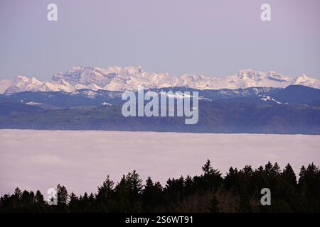 Vista dal punto panoramico di Horben sul mare di nebbia nelle Alpi innevate, Horben, Freiamt, Canton Argovia, Svizzera, Europa Foto Stock