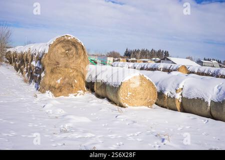 Balle di paglia impilate in un cortile di fattoria ricoperto di neve Foto Stock