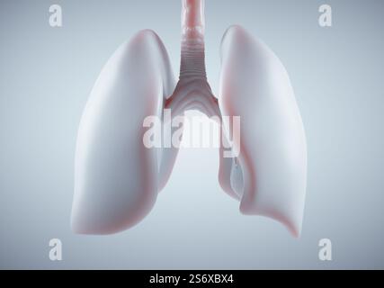 Polmone umano su sfondo bianco, questa è un'illustrazione di rendering 3d. Foto Stock