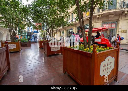 Shanghai, Cina. 7 gennaio 2025. Vista panoramica della strada pedonale Nanjing Road nel centro della città Foto Stock