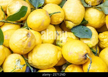 Limoni gialli in vendita in un mercato in Italia Foto Stock