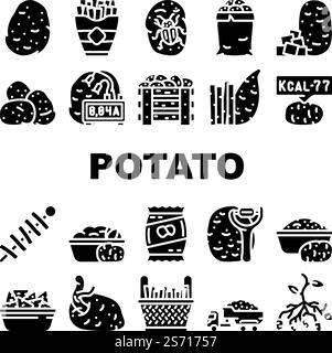 le icone fresche del cibo vegetale a base di patate sono vettoriali. Pianta biologica cruda, mucchio dolce, fette agricole, raccolta di patate da campo alimenti vegetali glifi freschi illustrazioni pittogramma. le icone fresche del cibo vegetale a base di patate sono vettoriali Illustrazione Vettoriale