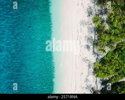 Vista dall'alto in basso del litorale delle Maldive. Acqua cristallina blu e spiaggia sabbiosa sulla paradisiaca isola tropicale. Foto Stock